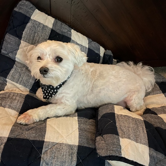 Meet your Posher, Jodi - Picture 1 of 1